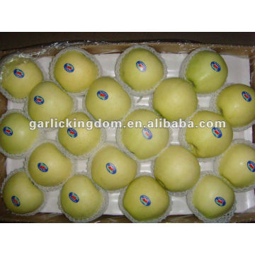 Goldener Apfel von Ursprung 18kg 100-113-125